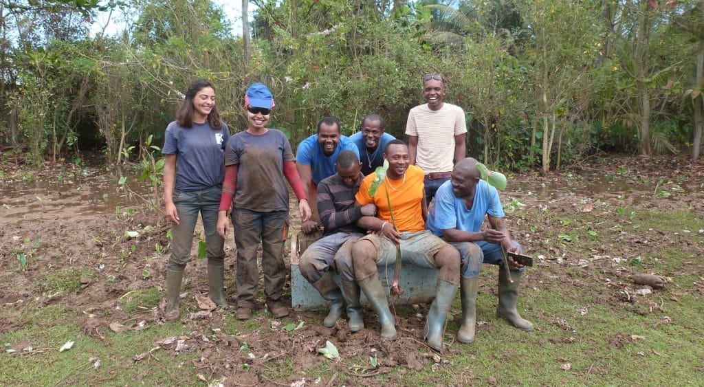 GEPOMAY restoring wet meadows with Mlezi maore and Jardin de Mtsangamouji associations © GEPOMAY