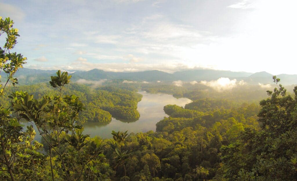 Asia Pacific Forest Governance, Pacific Landscape Management Jobs