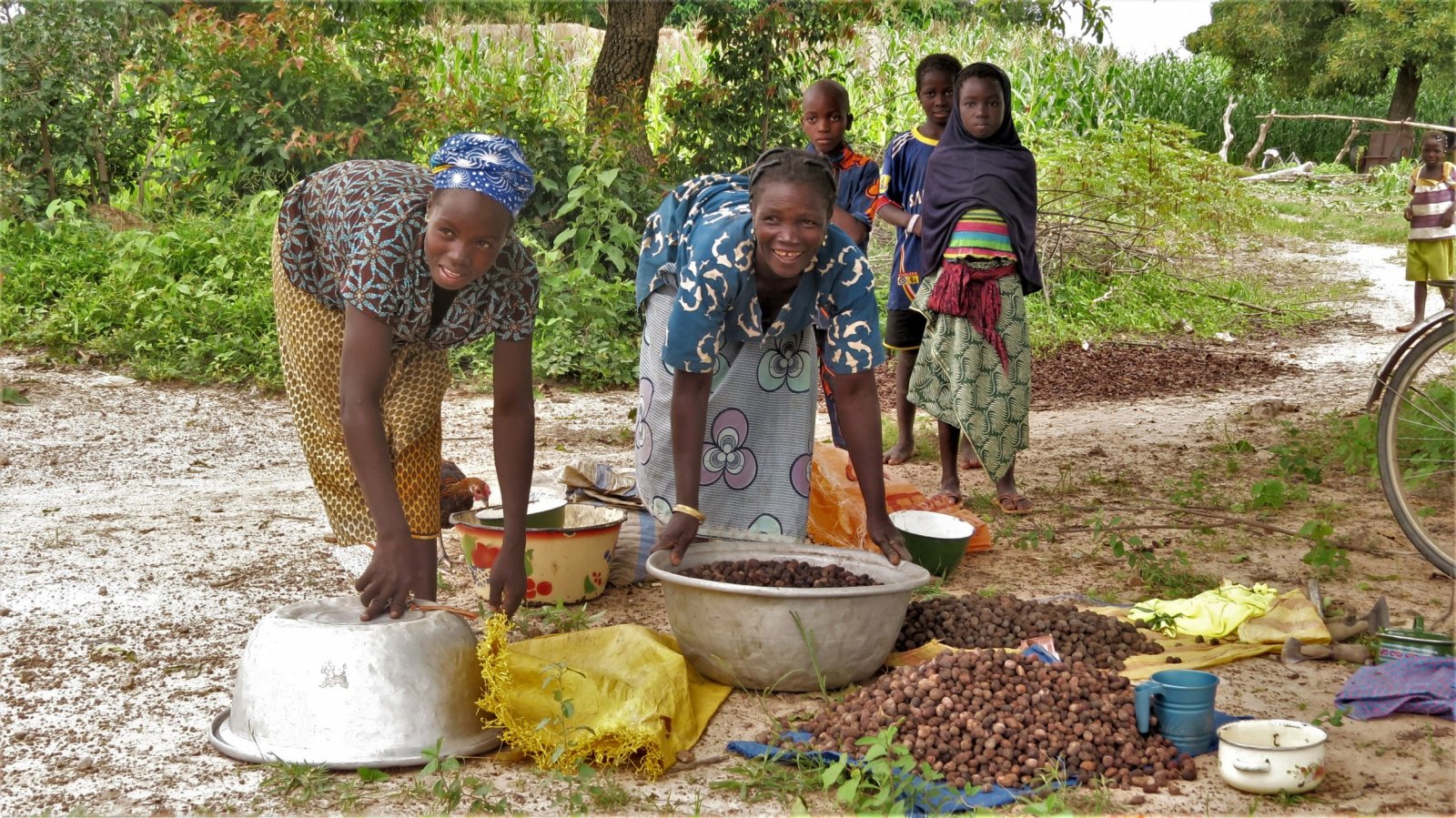 Burkina Faso's sustainable shea butter programme © Seydou Nacro