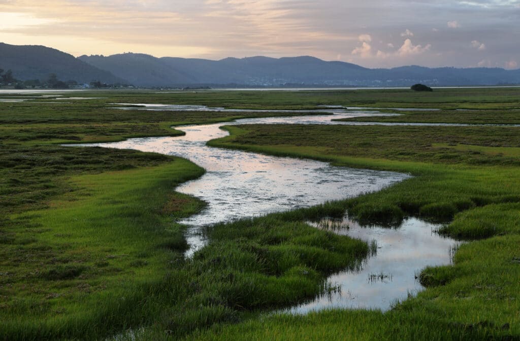 Kenyan wetlands at sunset © Marisa Estivill / Shutterstock