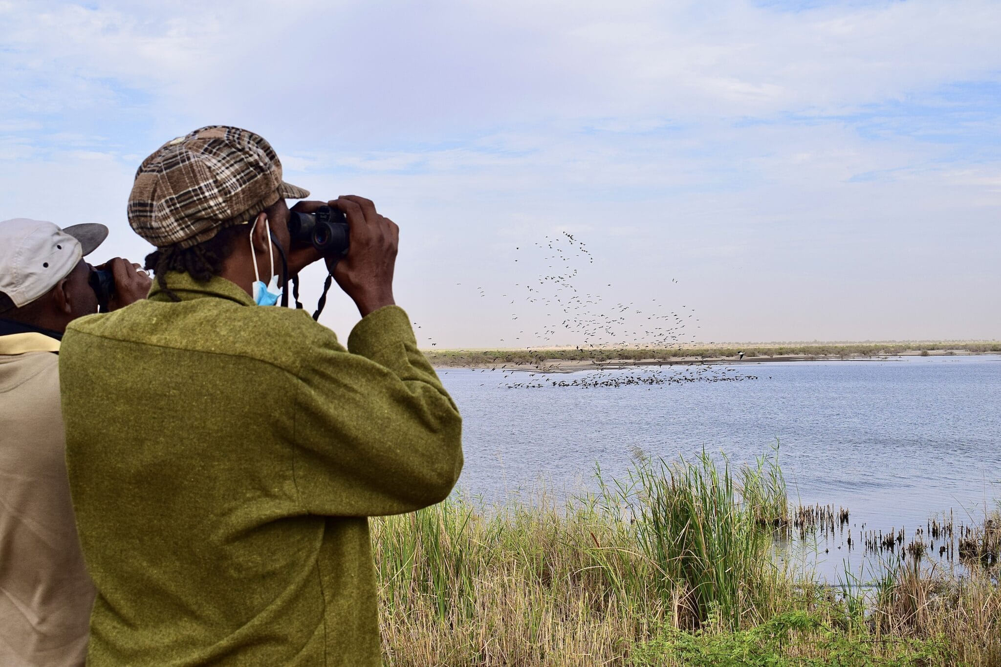 Two people holding binoculars watch a flock of birds landing on a body of water. 