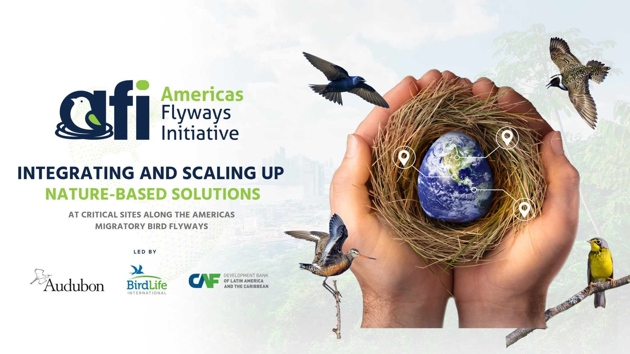 Lanzamiento de la Iniciativa Americas Flyways, que invierte miles de millones para salvar aves, paisajes y medios de vida