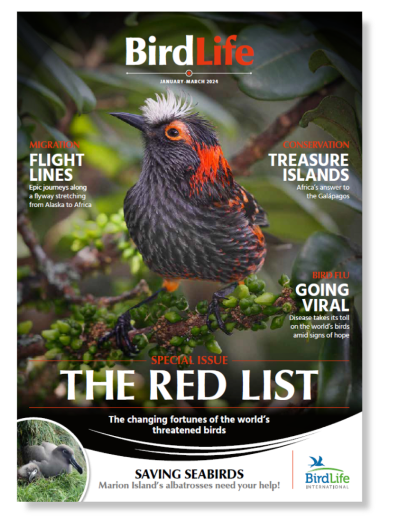 A screenshot of the front cover of BirdLife Magazine