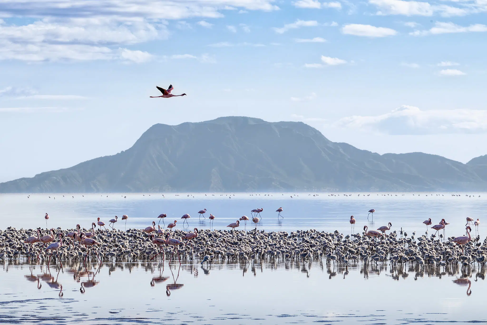 Controversial mining project in Tanzania’s Lake Natron halted